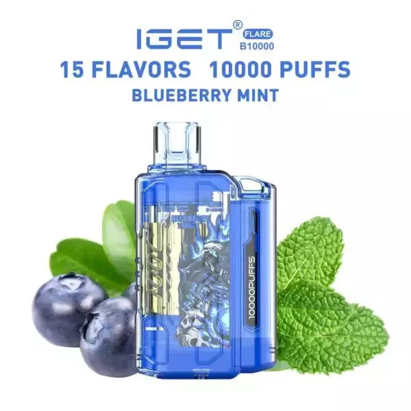 IGET FLARE B10000 – Blueberry Mint product photo